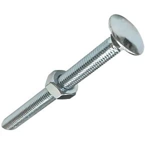 coach screw screwfix